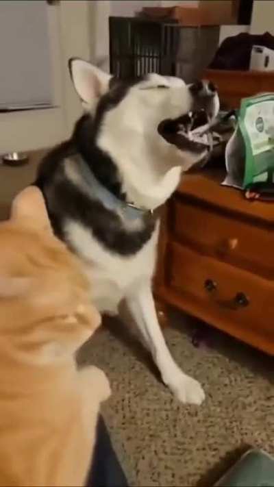 Heckin' Sneezy Boi