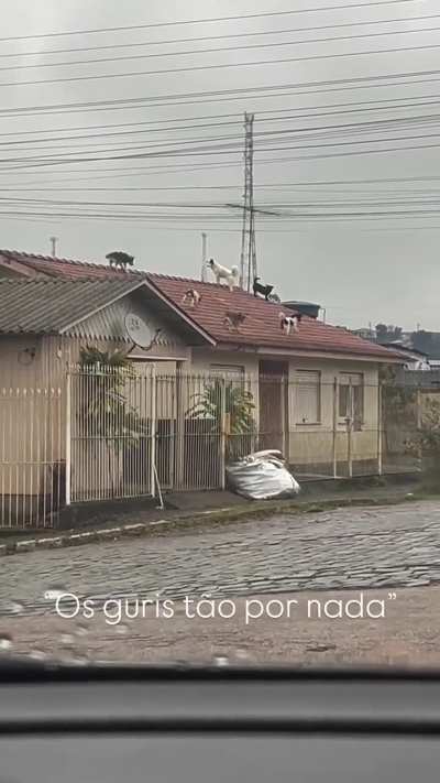 Welcome to Brazil