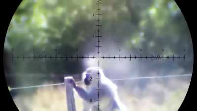 Pest control