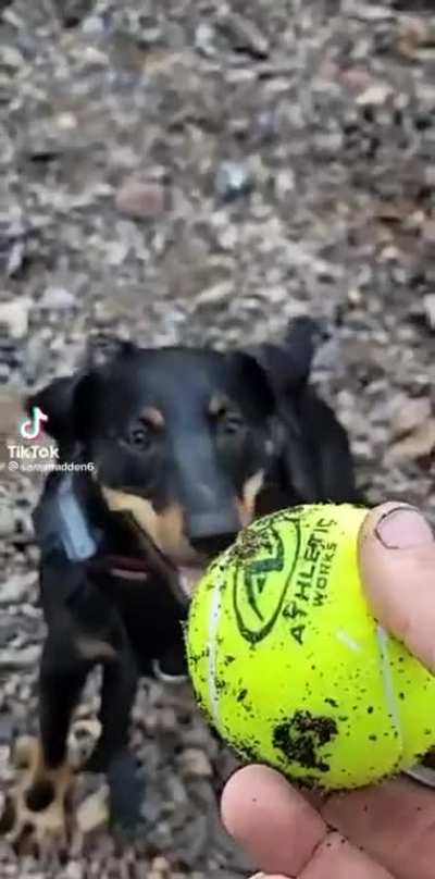 The ball…