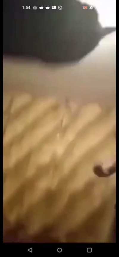 16 year old pedo gets jumped after he raped a baby