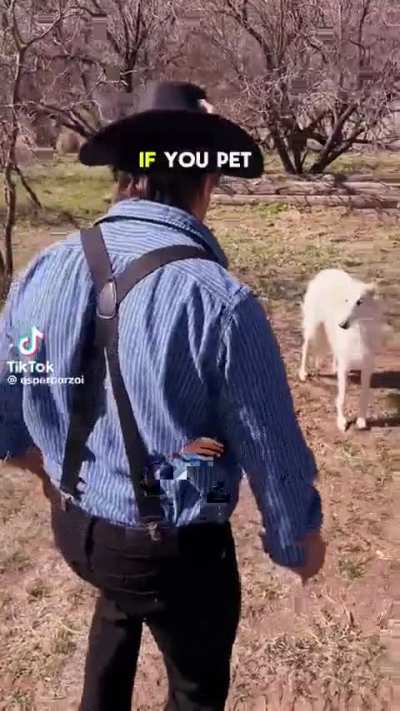 Wild West wunk 