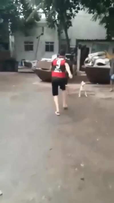 Com todo respeito