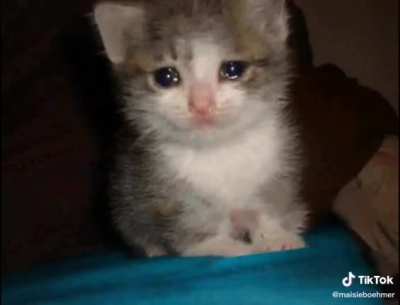 Sorry for the tiktok video 😔