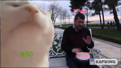 Today in a nutshell