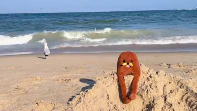 Beach Day