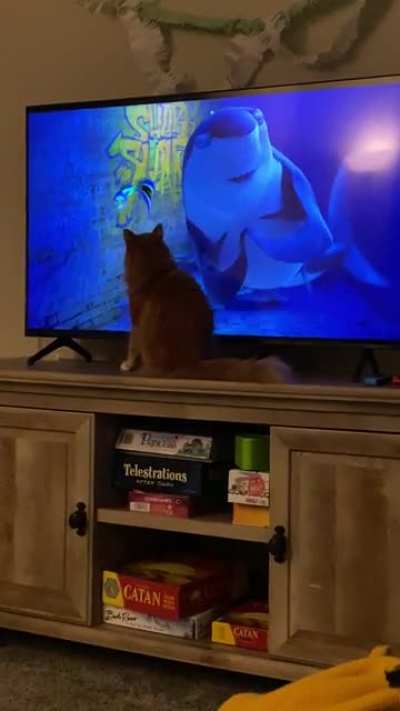 Опять 