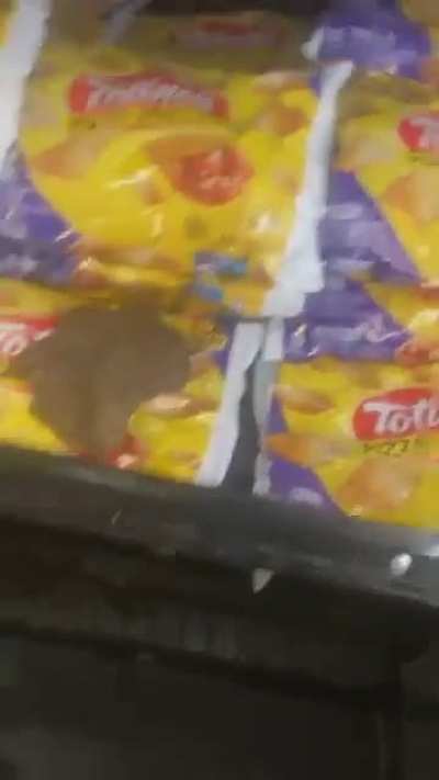 Freezer Pooper