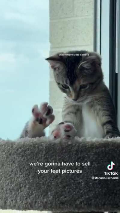 Toe beans