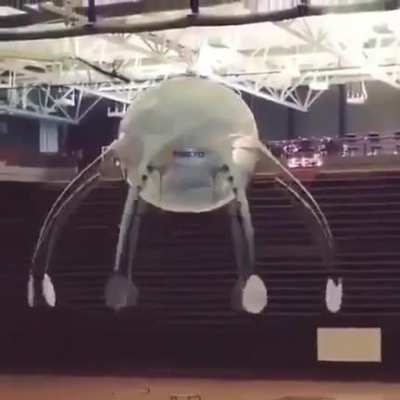 Definetly belongs here