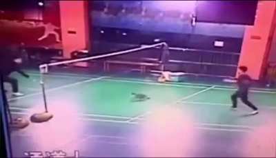 Cat plays badminton