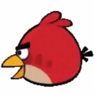 agry bird spin