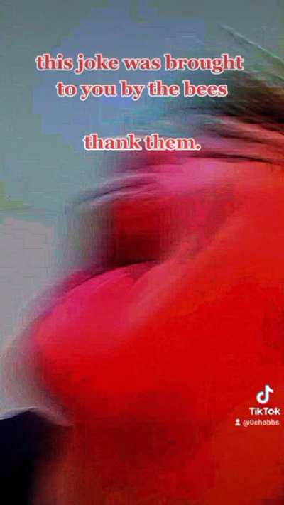 Ṯ̶̯͖̳̟͎̗͑̀͋̌͗̎̊͜ ̵̢̩̬̤͖͚͚̟̾̋̕͜H̶̞̿̒̽̋̀̅͠ ̵̛̯̘̖̫̠̘̺̤͆͆́̈́̎̕ͅE̷͖̫̟͊̀ ̴̨̛̮̪͉̻̞̩́̽́͂͘̕͝B̶̨̛͚̓̽͌̀̔̿͝ ̶͎͙̫̺͎͍̐E̶̲̯̘͍̺̼͚̭̍̿̑̆ ̴̨̫̺̳̘͇̎̀̂̿̈̽̏̚̚Ḙ̷̝͔͈͔̄͆́̾̓ ̵͉̱̦͓͇͚̬͊̔̀͌͛́͠ͅS̶͇̙̥͚̼̻̖̜̅̐̿̾͊̓͝