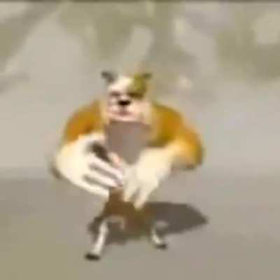 shitting dog