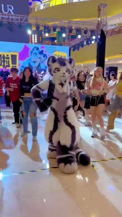 Furry_irl