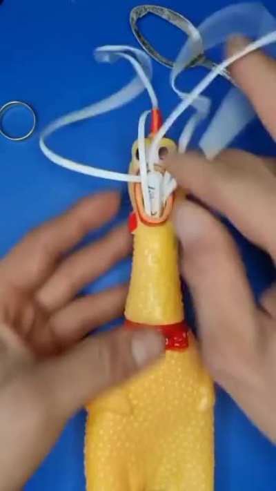 screaming chicken