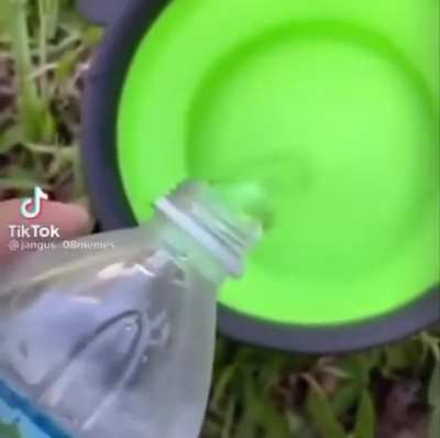 myy pet feesh