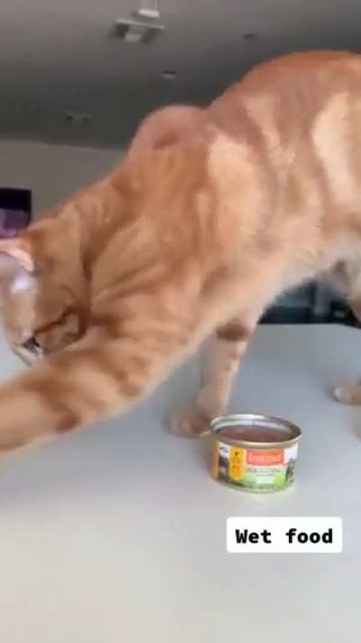 Food critic