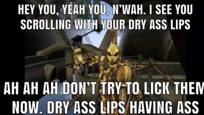 Finally one good r/elderscrolls post