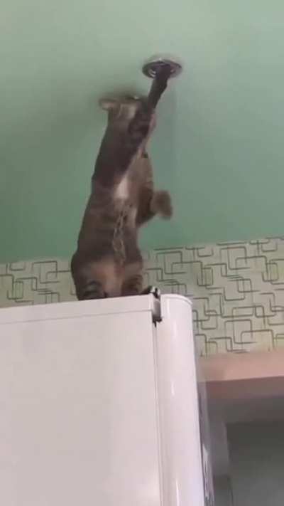 Meooooowwwwwwwwwww