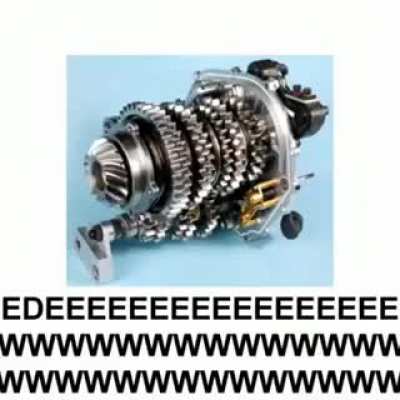 my-