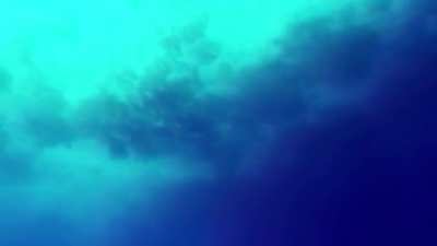 Bull shark Attacks Spearfisherman