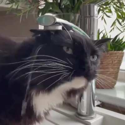 The UI is very intuitive., users will figure it out. Users: