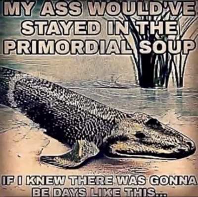 Same