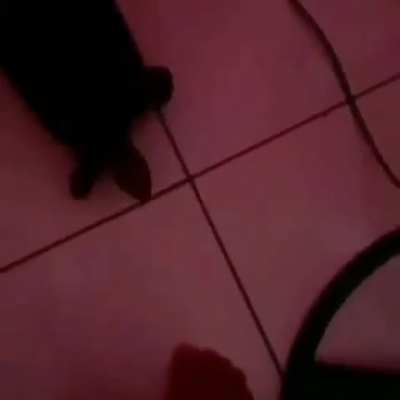 Essa é antiguinha