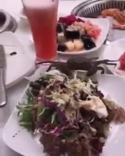 eat all you can..