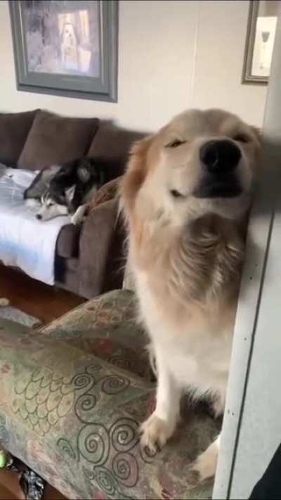 It wasn't me