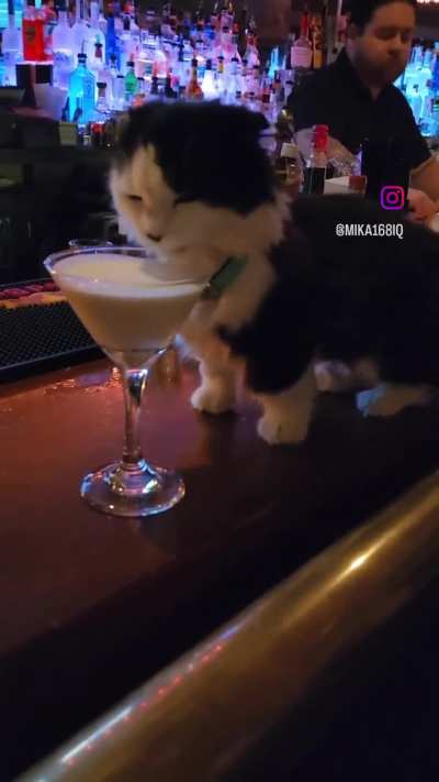 Wunkus night out