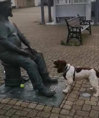 Go fetch