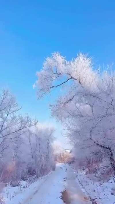 Wow ❄️❄️