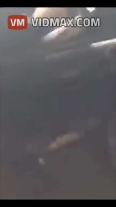 Total Shock: Woman Sits in Car Unfazed After Brutal Car Accident