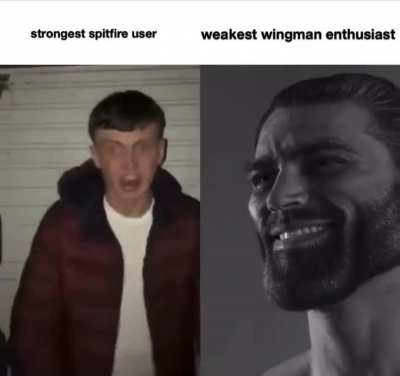 Spitfire vs Wingman