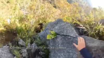 Doomguy goes climbing