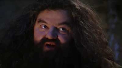 You're a Goblin Junior, Harry