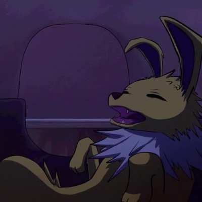 Furry_irl
