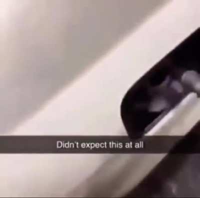 What was he expecting to happen?