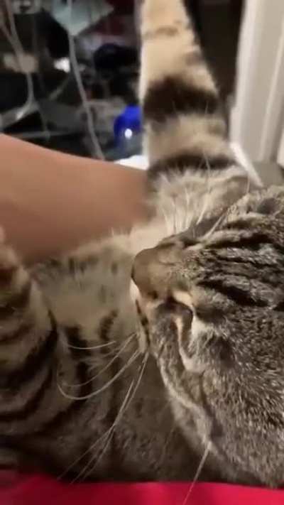 Little cutie hand.