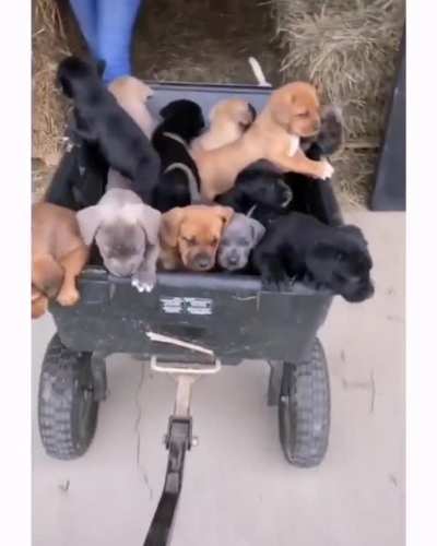 Со звуком атмос<wbr>ферне<wbr>е