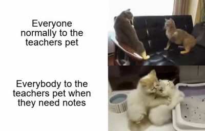 People become very polite when exams come around