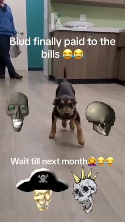 Cool title