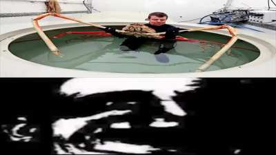 Arachnophobia