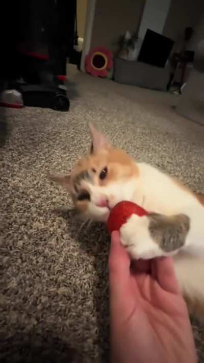 Maybe Maybe Maybe