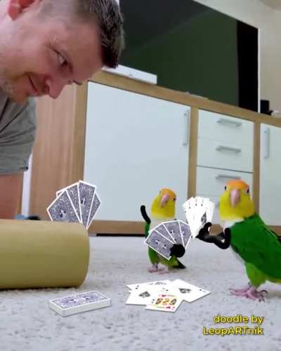 Who Is Cheating?