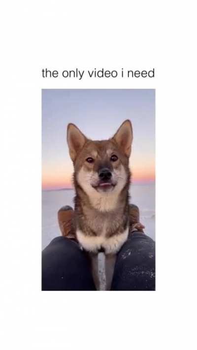 Awaa awaa ooooo