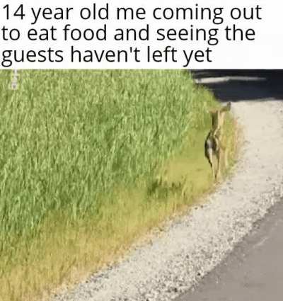 Time to go back in
