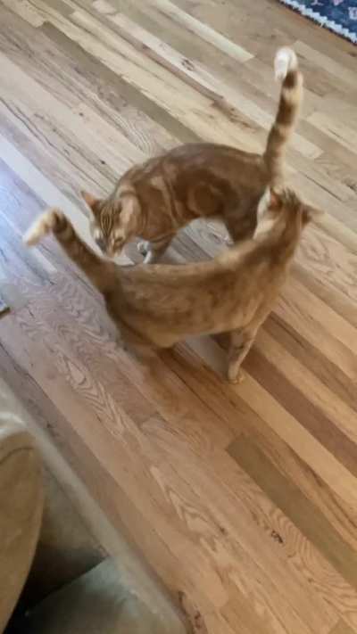 ORANGENADO